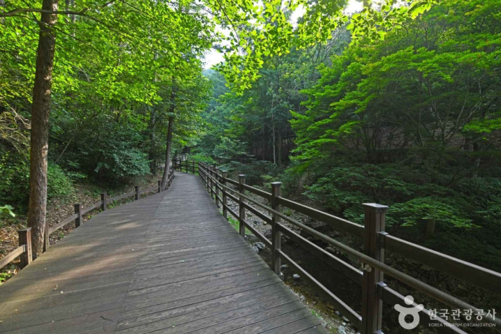 봉학골산림욕장 여행 추천 - 메고지고