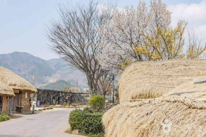 순천 낙안읍성 여행 추천 - 메고지고