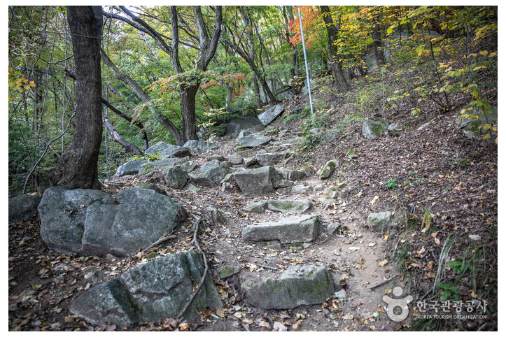 황산사(원주) 여행 추천 - 메고지고