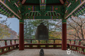 탁장사고을 여행 추천 - 메고지고