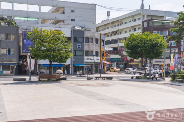 무심천 벚꽃 거리 여행 추천 - 메고지고