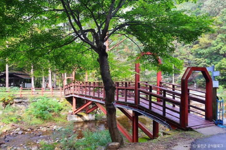 국립 통고산자연휴양림 여행 추천 - 메고지고
