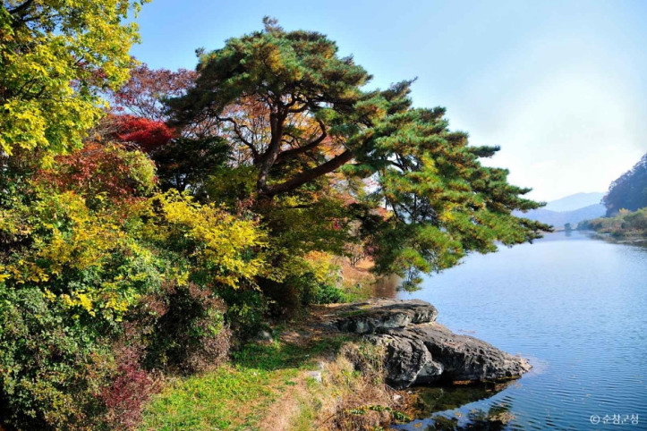 추령천 여행 추천 - 메고지고