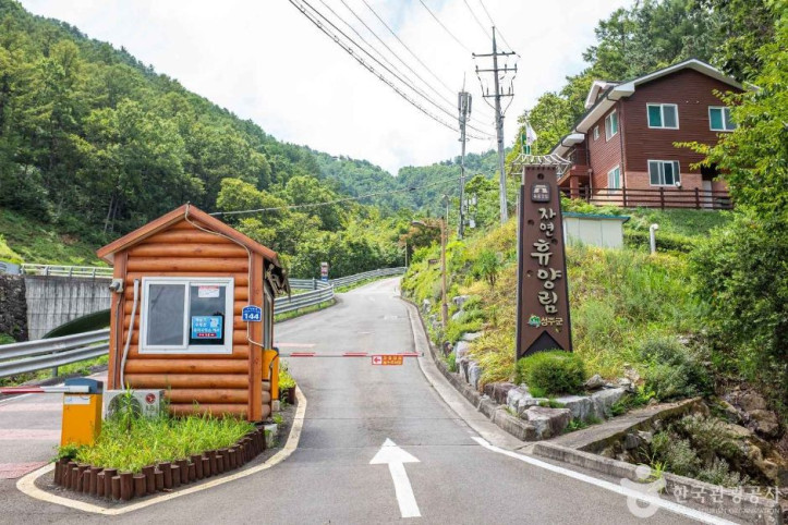독용산성 자연휴양림 여행 추천 - 메고지고