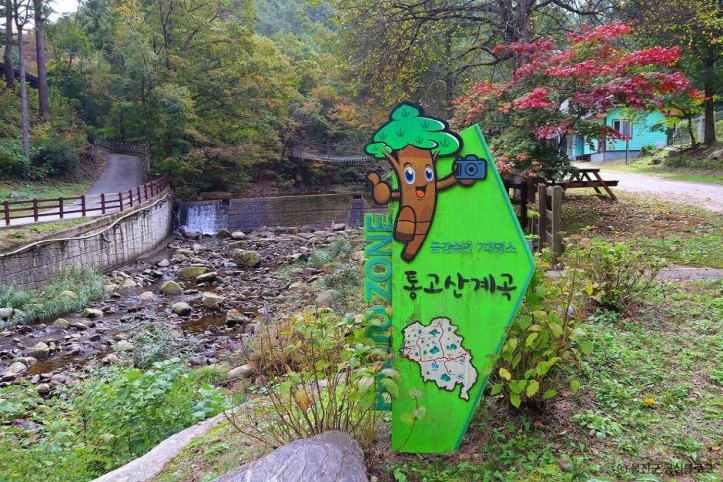 국립 통고산자연휴양림 여행 추천 - 메고지고