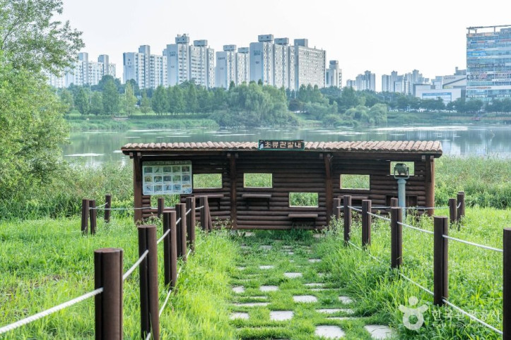 배다리생태공원 여행 추천 - 메고지고