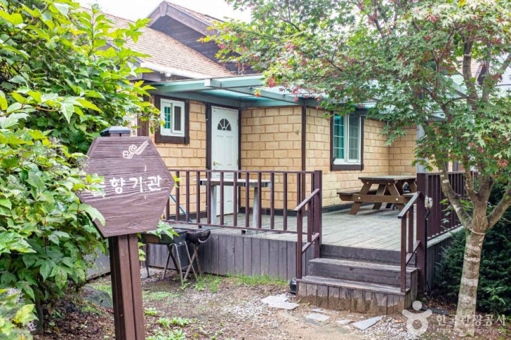 영주 솔향기마을 여행 추천 - 메고지고