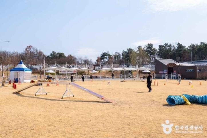 의성 펫월드 여행 추천 - 메고지고
