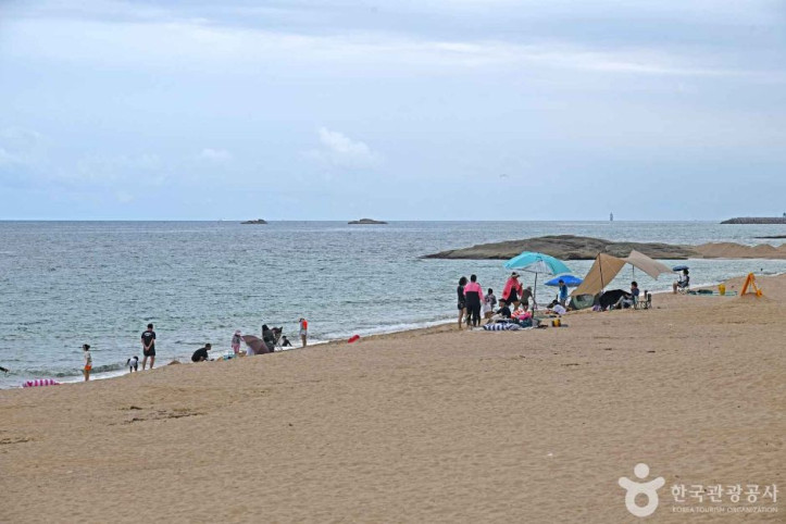 켄싱턴해변 여행 추천 - 메고지고