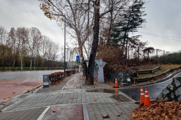 노원 불빛정원 여행 추천 - 메고지고