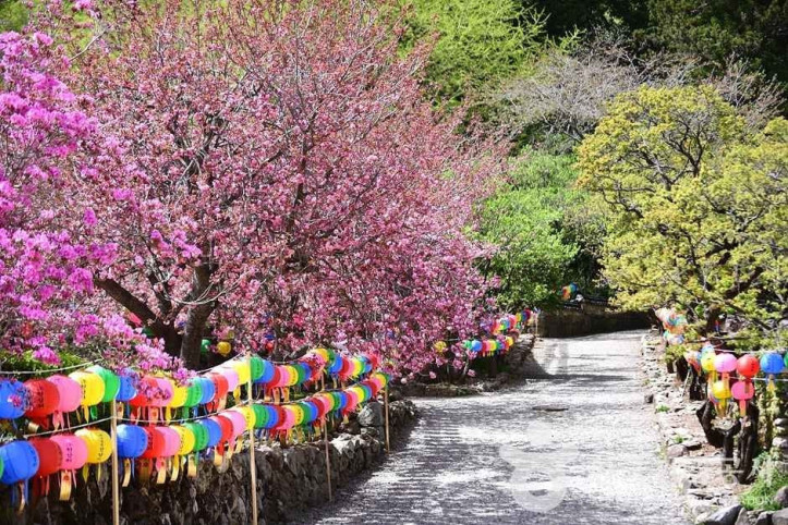 조계산도립공원 여행 추천 - 메고지고