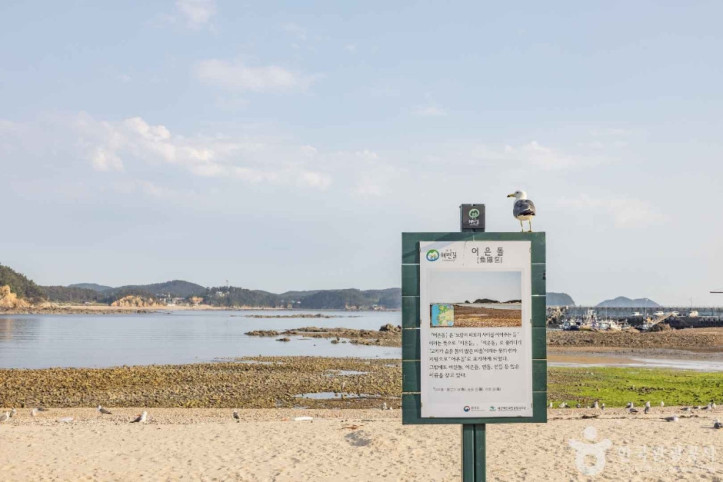 어은돌해수욕장 여행 추천 - 메고지고