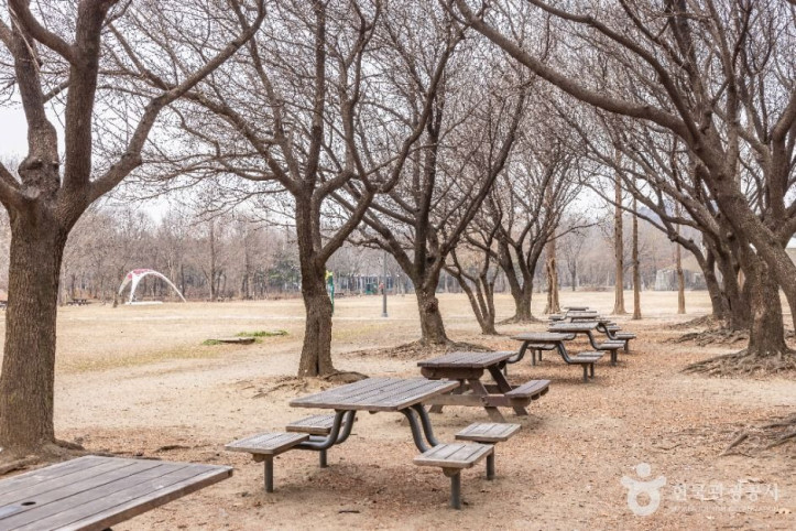 서울숲 여행 추천 - 메고지고