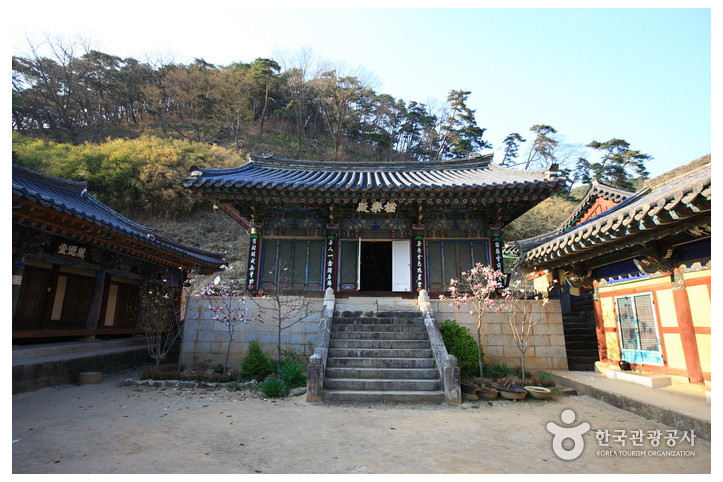고운사(의성) 여행 추천 - 메고지고