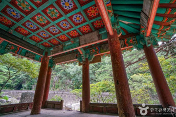 해인사(합천) 여행 추천 - 메고지고