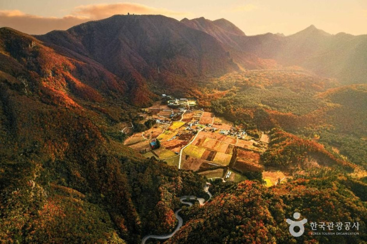 나리분지 여행 추천 - 메고지고