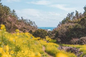 중문관광단지 여행 추천 - 메고지고