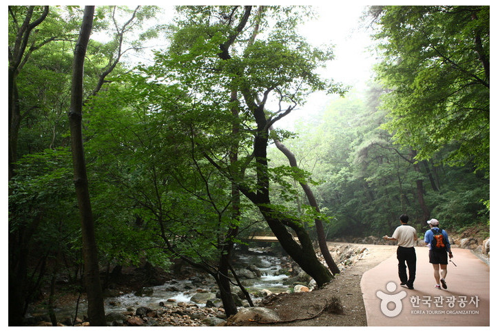 용문산 여행 추천 - 메고지고