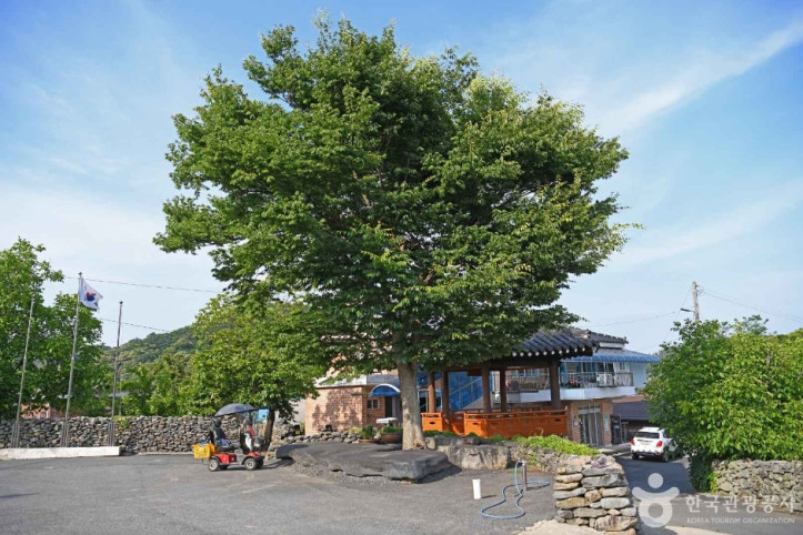 부여 반교마을 여행 추천 - 메고지고
