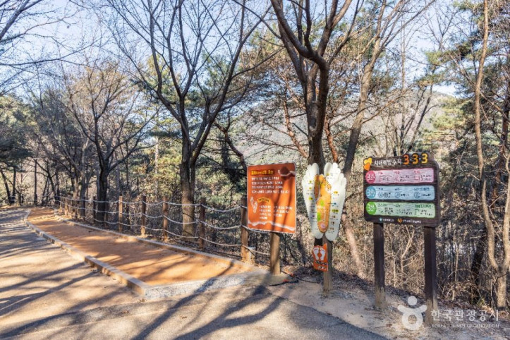 성주봉자연휴양림 여행 추천 - 메고지고