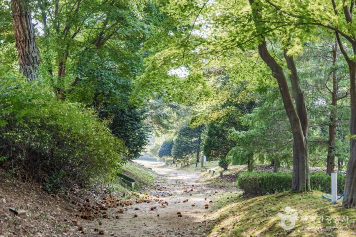 일영허브랜드(숲길정원) 여행 추천 - 메고지고