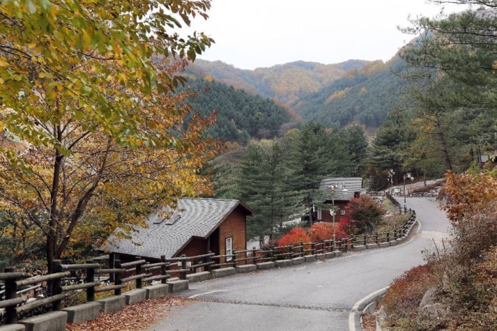 칼봉산자연휴양림 여행 추천 - 메고지고