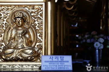 개금벚꽃길 여행 추천 - 메고지고