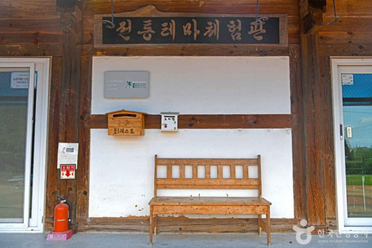 강릉 해살이마을 여행 추천 - 메고지고