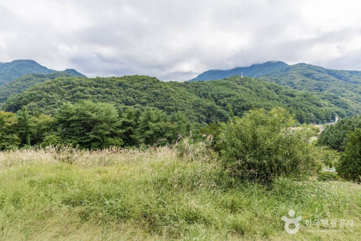 무주 삼공리 반송 여행 추천 - 메고지고