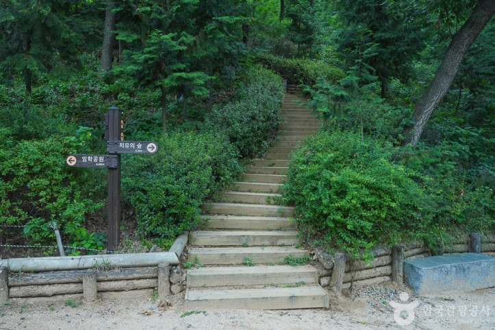 계양산 산림욕장 여행 추천 - 메고지고