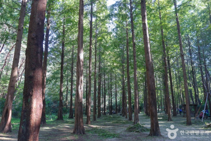 울산대공원 여행 추천 - 메고지고