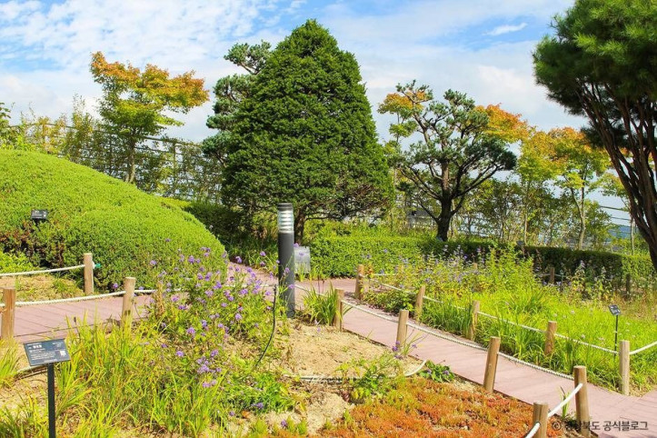 가야산 야생화식물원 여행 추천 - 메고지고