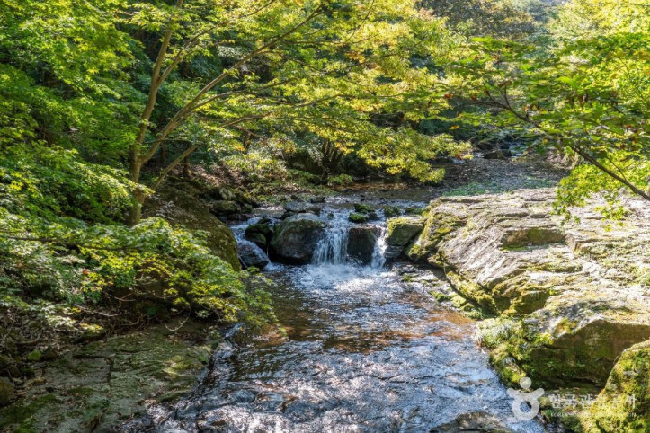 강천산 군립공원 여행 추천 - 메고지고