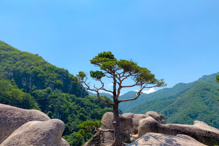 두타산협곡마천루 여행 추천 - 메고지고