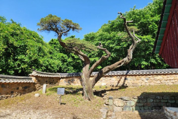 통일공원(파주) 여행 추천 - 메고지고