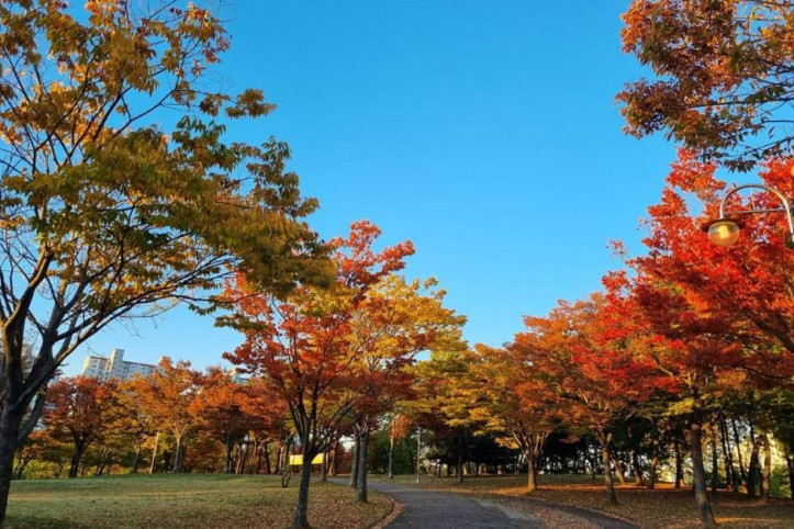 안산호수공원 여행 추천 - 메고지고