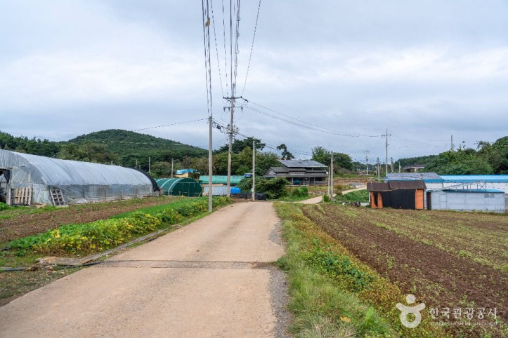 충남 서산빛들마을 여행 추천 - 메고지고