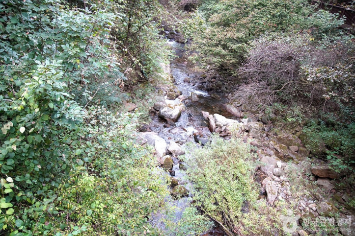 용수골계곡 여행 추천 - 메고지고