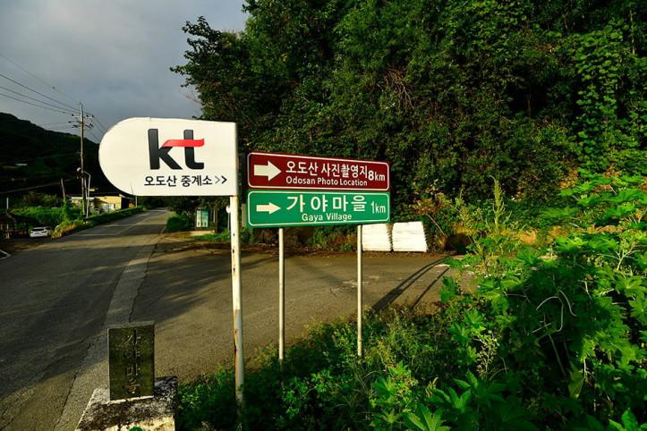 오도산전망대 여행 추천 - 메고지고