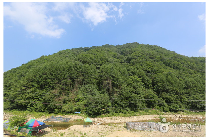 구룡산(강원) 여행 추천 - 메고지고