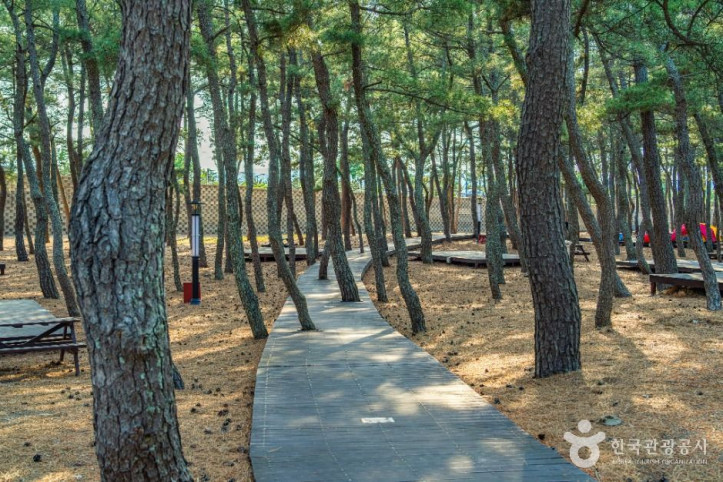 덕천해수욕장 여행 추천 - 메고지고