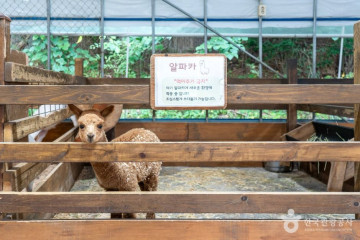 무진암(부여) 여행 추천 - 메고지고
