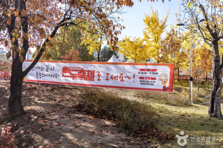 원주젊음의광장 여행 추천 - 메고지고