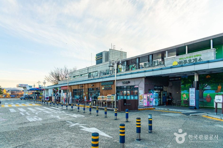 현풍 500년 느티나무 테마공원 여행 추천 - 메고지고