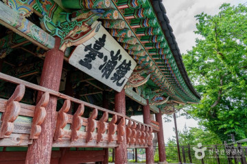 경포호(철새도래지) 여행 추천 - 메고지고