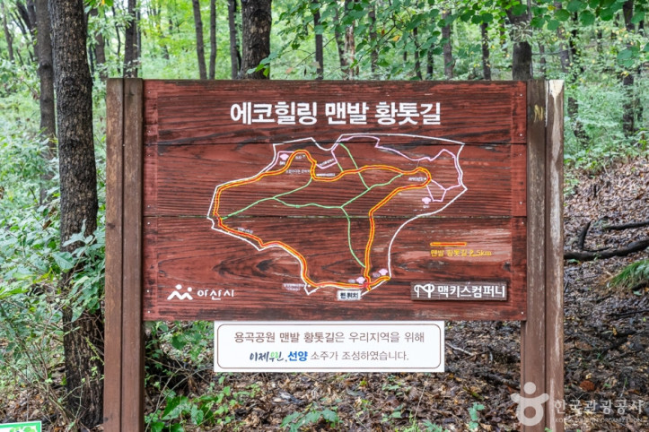 에코힐링 황톳길 여행 추천 - 메고지고