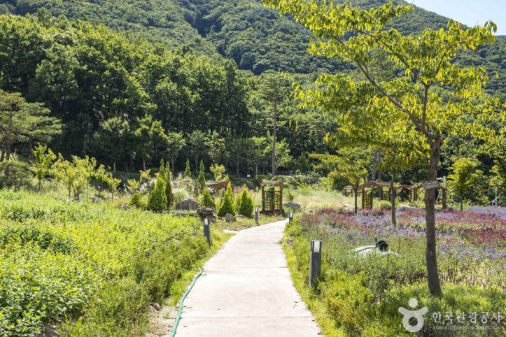 보현산 자연휴양림 여행 추천 - 메고지고