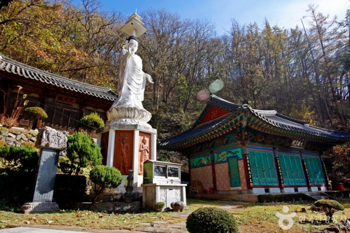 정심사(충주) 여행 추천 - 메고지고