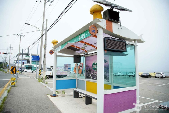 물치항 여행 추천 - 메고지고