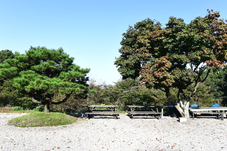 남고사(전주) 여행 추천 - 메고지고